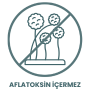 İkon 10